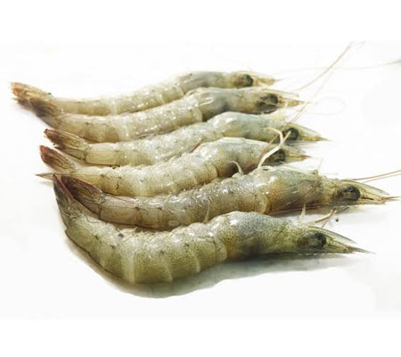 Choodan Chemmeen-1 Kg
