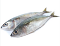 Ayala /(Mackerel / Bangda fish)with free cleaning അയല  ( വൃത്തിയാക്കി നൽകുന്നു )