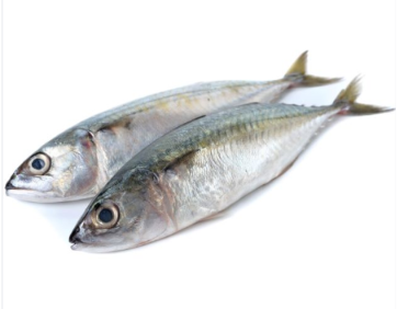 Ayala /(Mackerel / Bangda fish)with free cleaning അയല  ( വൃത്തിയാക്കി നൽകുന്നു )